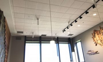 Acoustical Ceilings