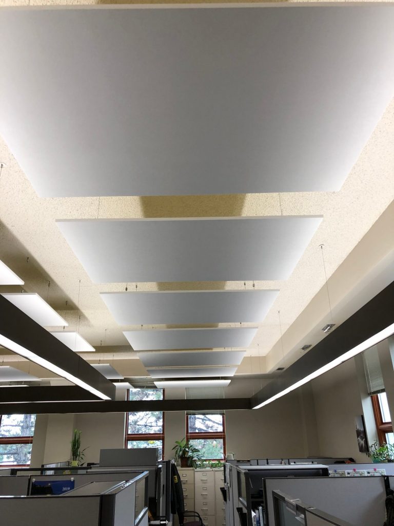 Acoustic Ceilings MN