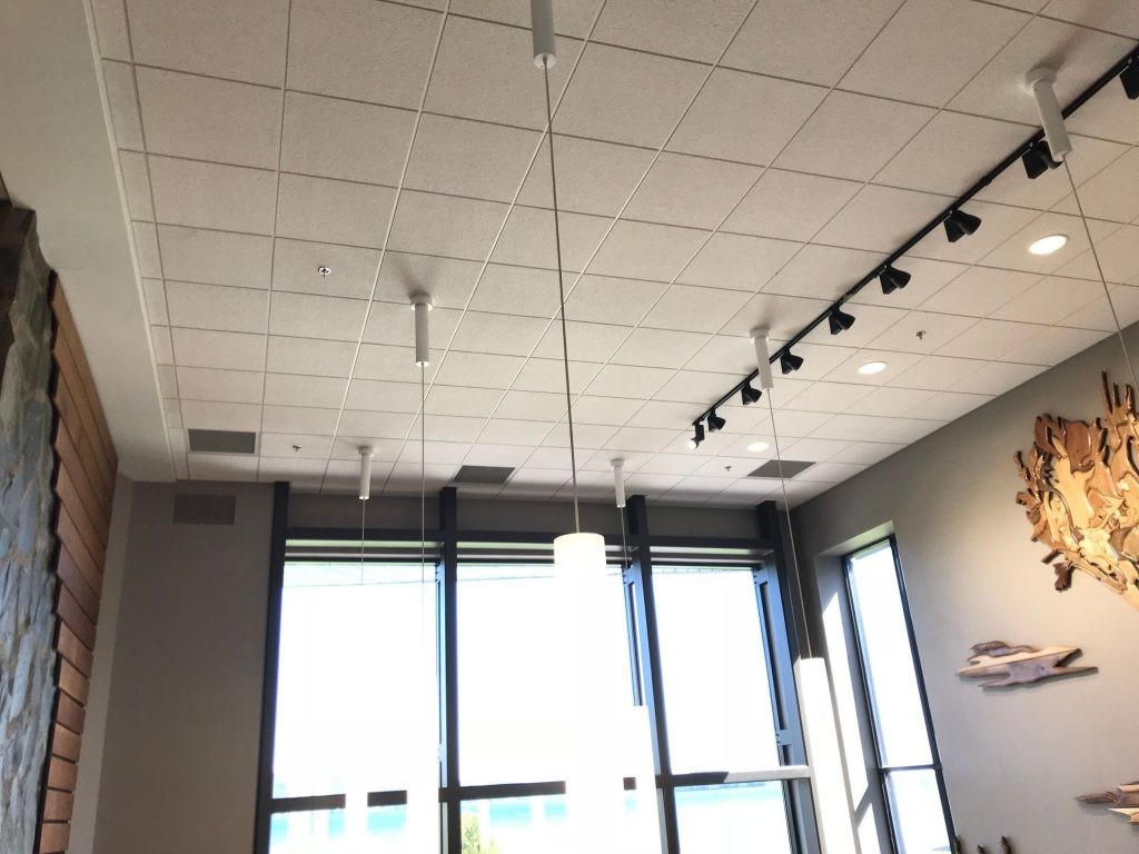 Ceiling Tile Supplier in Duluth